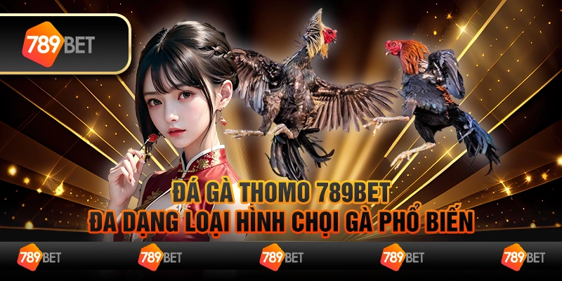 Đá Gà Thomo 789Bet - Đa Dạng Loại Hình Chọi Gà Phổ Biến