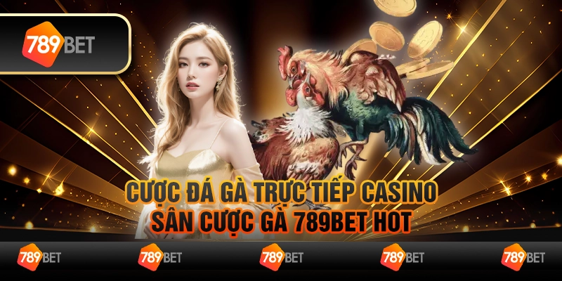 Cược Đá Gà Trực Tiếp Casino – Sân Cược Gà 789bet Hot