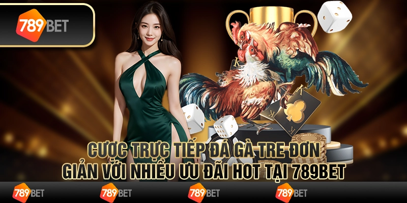 Cược Trực Tiếp Đá Gà Tre Với Nhiều Ưu Đãi Hot Tại 789bet