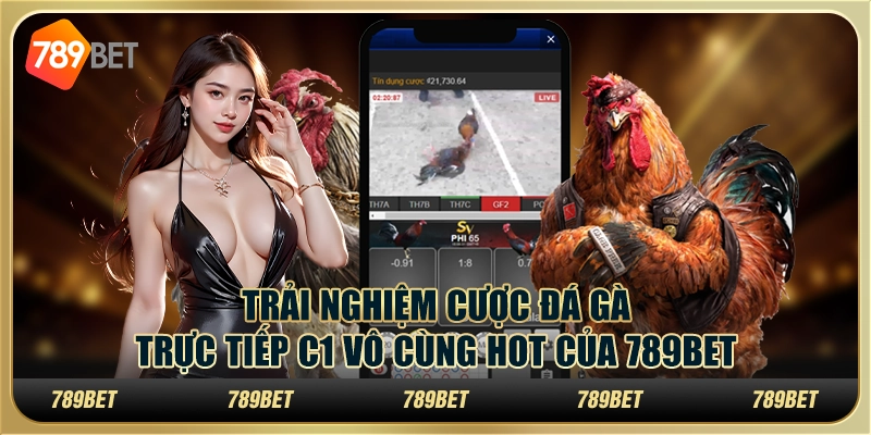 Trải Nghiệm Cược Đá Gà Trực Tiếp C1 Vô Cùng Hot Của 789bet