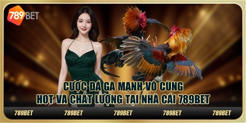 Cược Đá Gà Mạnh Vô Cùng Hot Và Chất Lượng Tại Nhà Cái 789bet