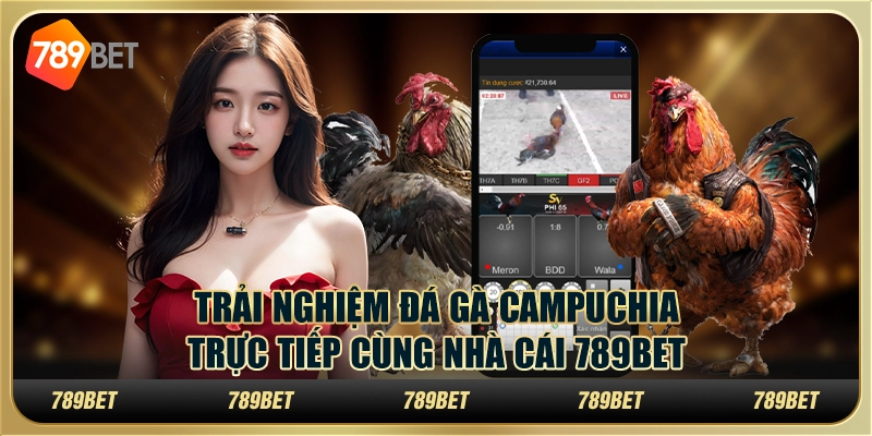 Trải Nghiệm Đá Gà Campuchia Trực Tiếp Cùng Nhà Cái 789bet