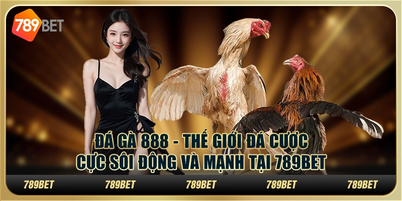 Đá Gà 888 - Thế Giới Đá Cược Cực Sôi Động Và Mạnh Tại 789bet