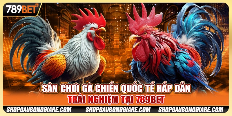 Sân Chơi Gà Chiến Quốc Tế Hấp Dẫn - Trải Nghiệm Tại 789BET