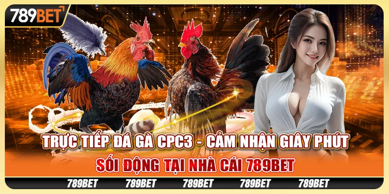 Trực Tiếp Đá Gà Cpc3 - Cảm Nhận Giây Phút Sôi Động Tại 789bet