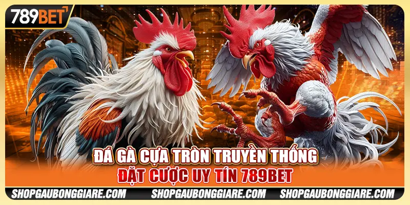 Đá Gà Cựa Tròn Truyền Thống - Đặt Cược Uy Tín 789BET