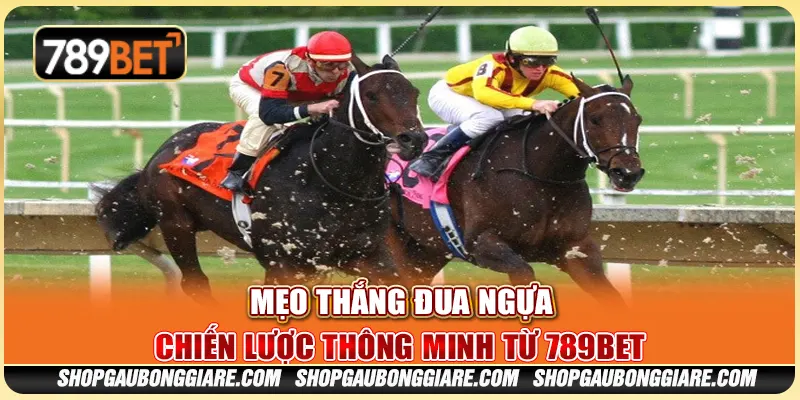 Mẹo thắng đua ngựa – Chiến lược thông minh từ 789BET