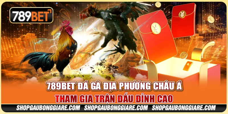 789BET đá gà địa phương châu Á – Tham gia trận đấu đỉnh cao