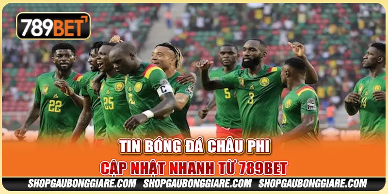 Tin bóng đá châu Phi – Cập nhật nhanh từ 789BET