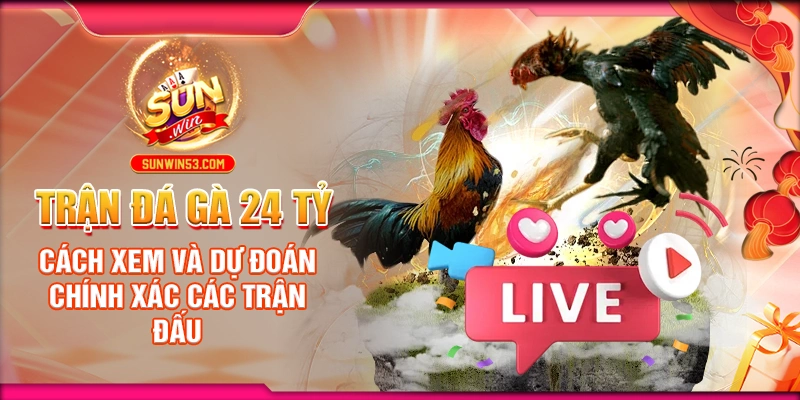 trận đá gà 24 tỷ