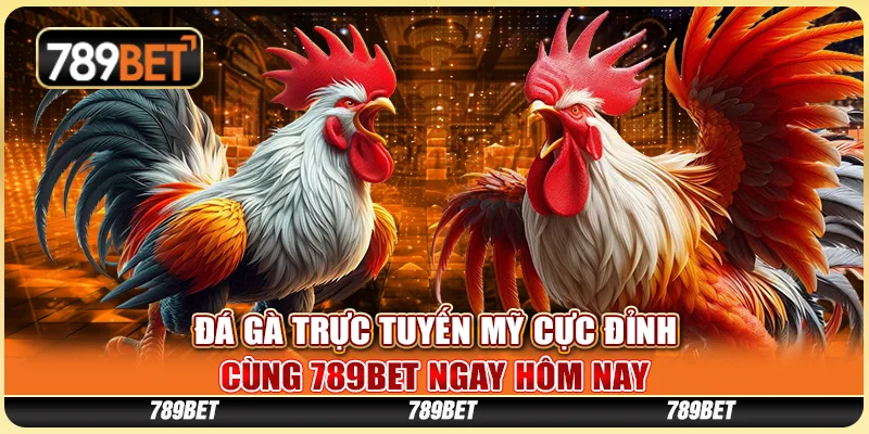 Đá Gà Trực Tuyến Mỹ Cực Đỉnh Cùng 789BET Hôm Nay