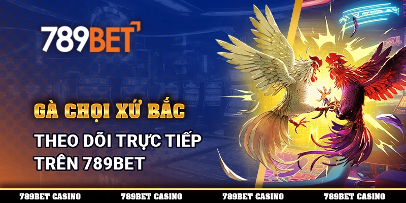 Gà Chọi Xứ Bắc, theo dõi trực tuyến trên 789BET