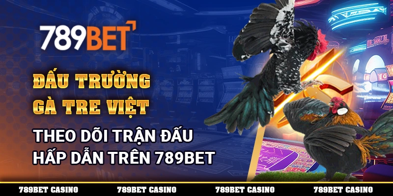 Đấu Trường Gà Tre Việt, Theo Dõi Trận Đấu Hấp Dẫn Trên 789BET