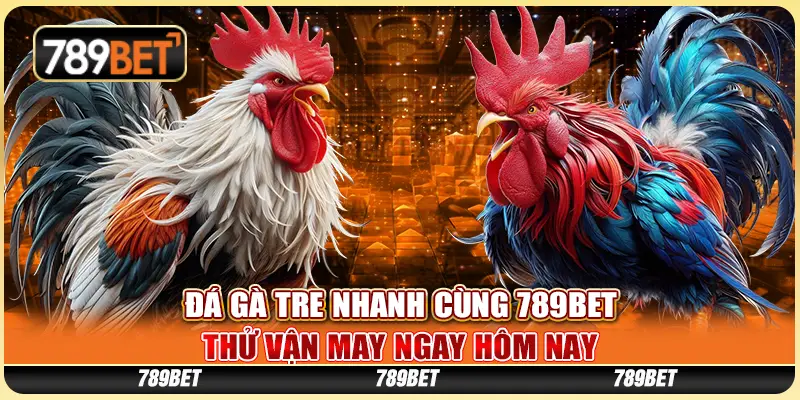 Đá Gà Tre Nhanh Cùng 789BET - Thử Vận May Ngay Hôm Nay