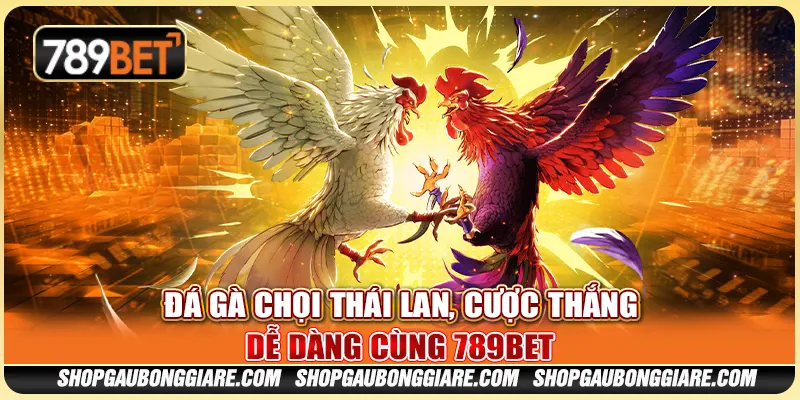 Đá Gà Chọi Thái Lan, Cược Thắng Dễ Dàng Cùng 789BET