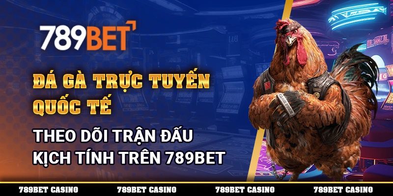 Đá Gà Trực Tuyến Quốc Tế, Theo Dõi Trận Đấu Kịch Tính Trên 789BET