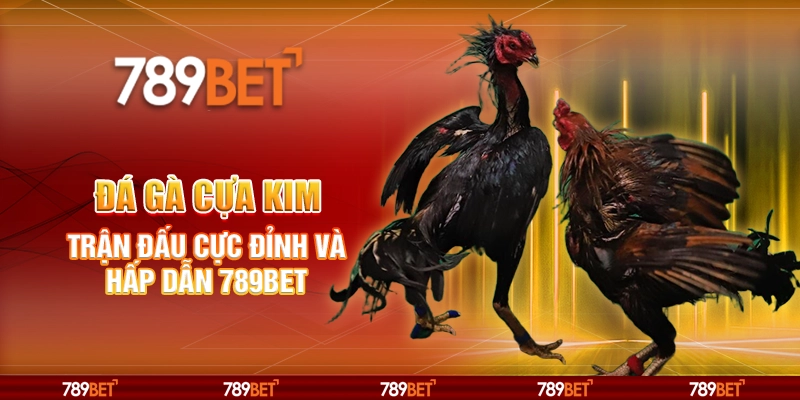 Đá Gà Cựa Kim Trận Đấu Cực Đỉnh Và Hấp Dẫn 789BET