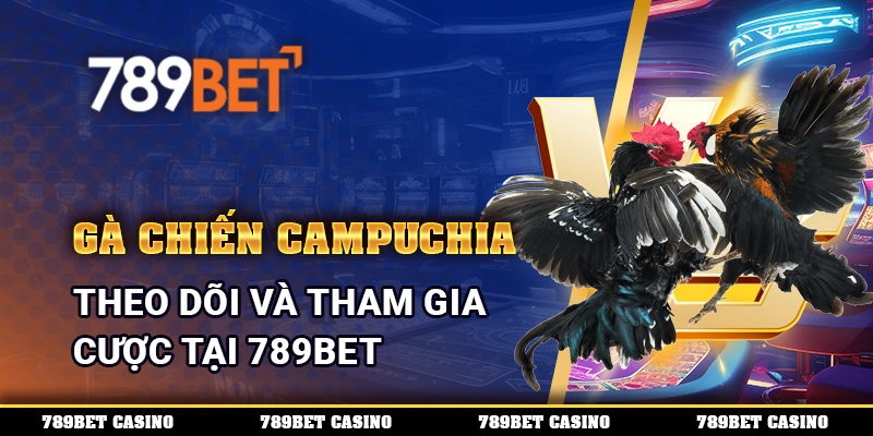 Gà Chiến Campuchia, Theo Dõi và Tham Gia Cược Tại 789BET